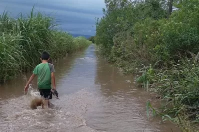 La pregunta no es por qué se van, sino ¿por qué se quedarían?