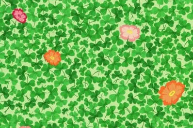 Nuevo desafío viral: ¿Dónde está el trébol de cuatro hojas?