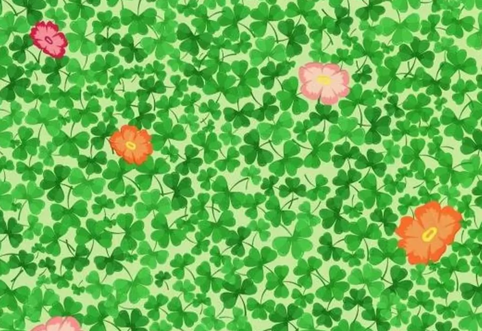 Desafío viral: encontrar el trébol de cuatro hojas