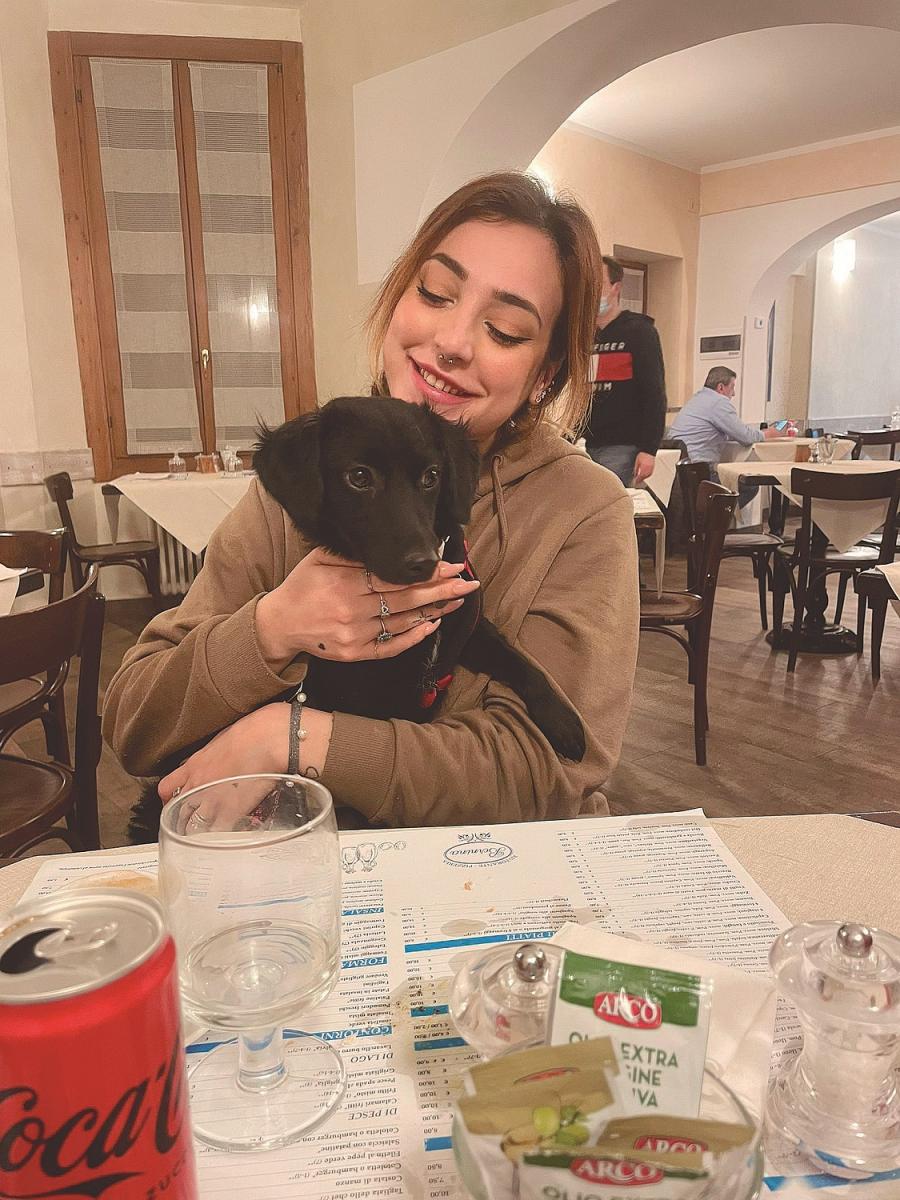 Oeste, la perrita que vivía en un cementerio y se mudó a Italia