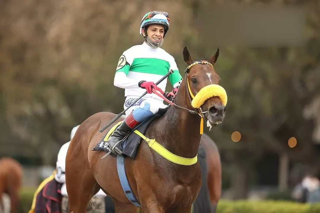 ESTÁ INVICTO. Sarfo ganó las tres veces que corrió en el hipódromo tucumano. 