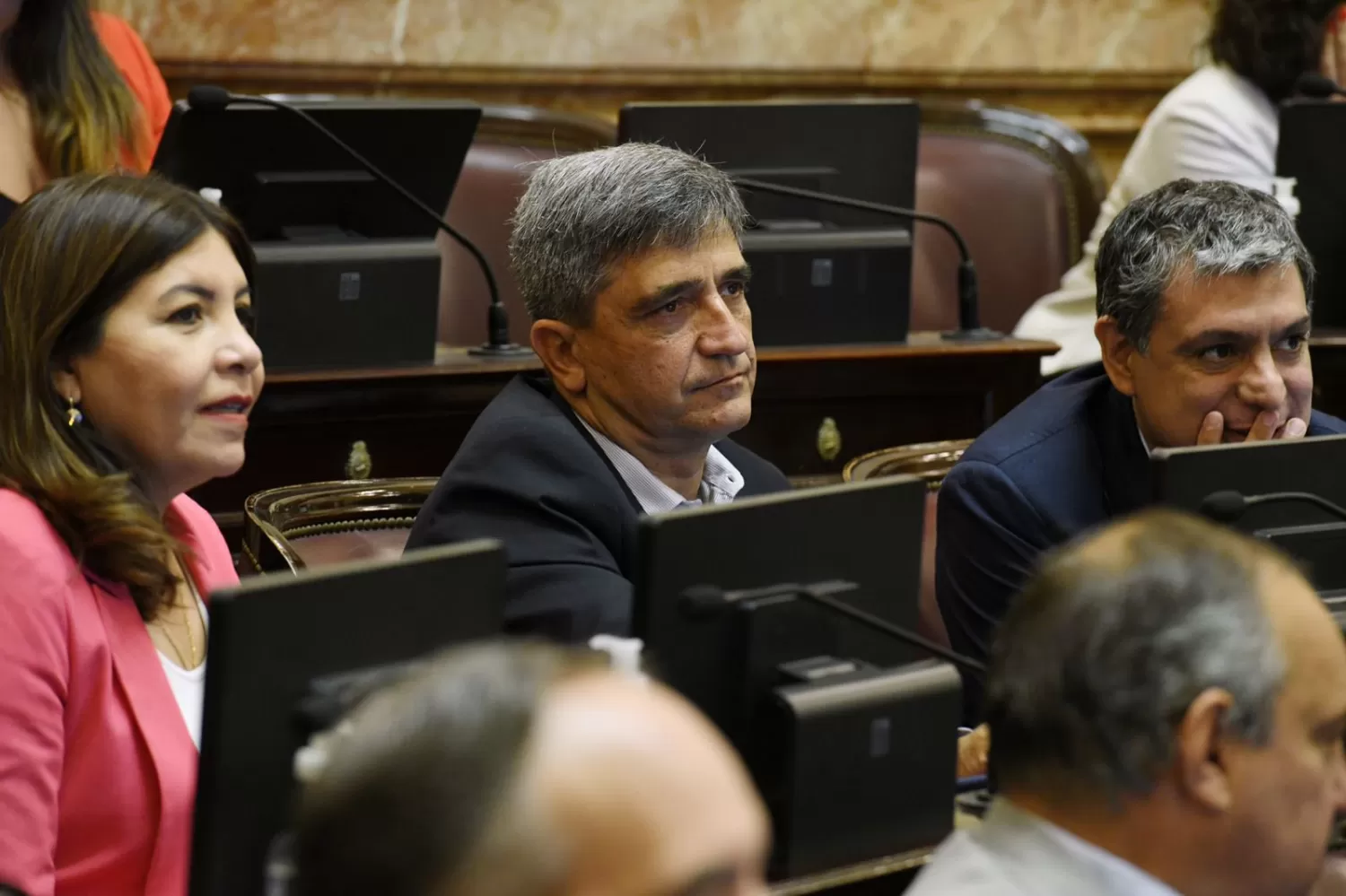 EN LA CÁMARA ALTA. El senador nacional por Tucumán, Pablo Yedlin, en el recinto. Foto de Twitter @PYedlin