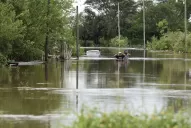 Rarezas con sabor a empanadas