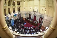 El acuerdo con el FMI llega al Senado, y el albertismo buscará que sea aprobado esta semana