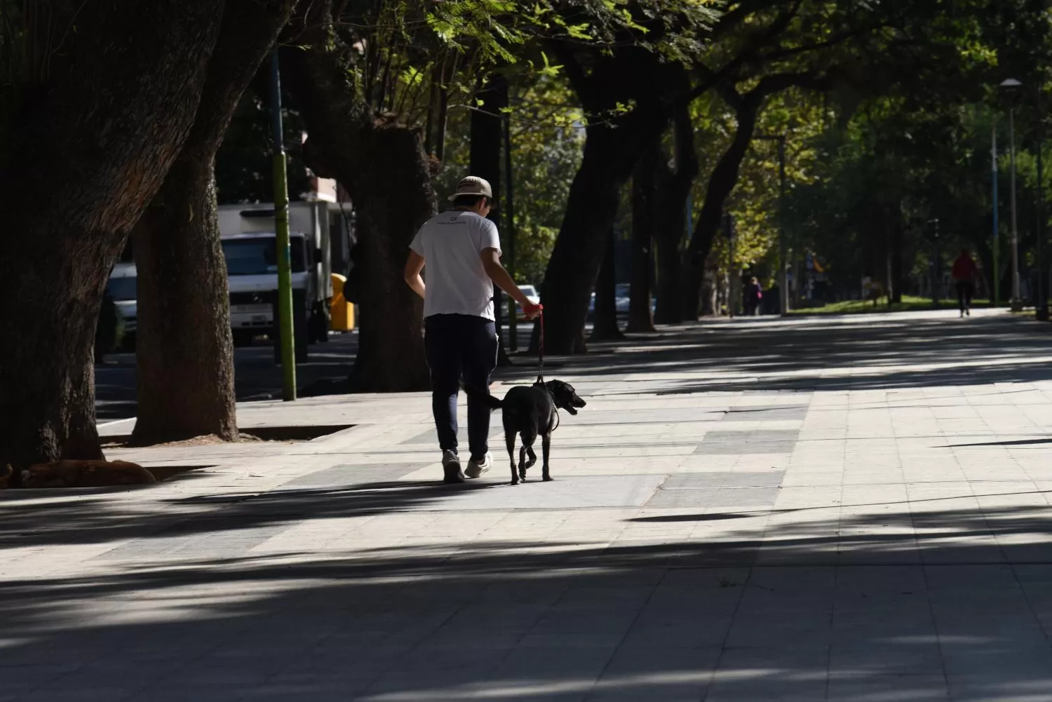 UN DÍA SOLEADO EN TUCUMÁN / FOTO ILUSTRATIVA DE ARCHIVO