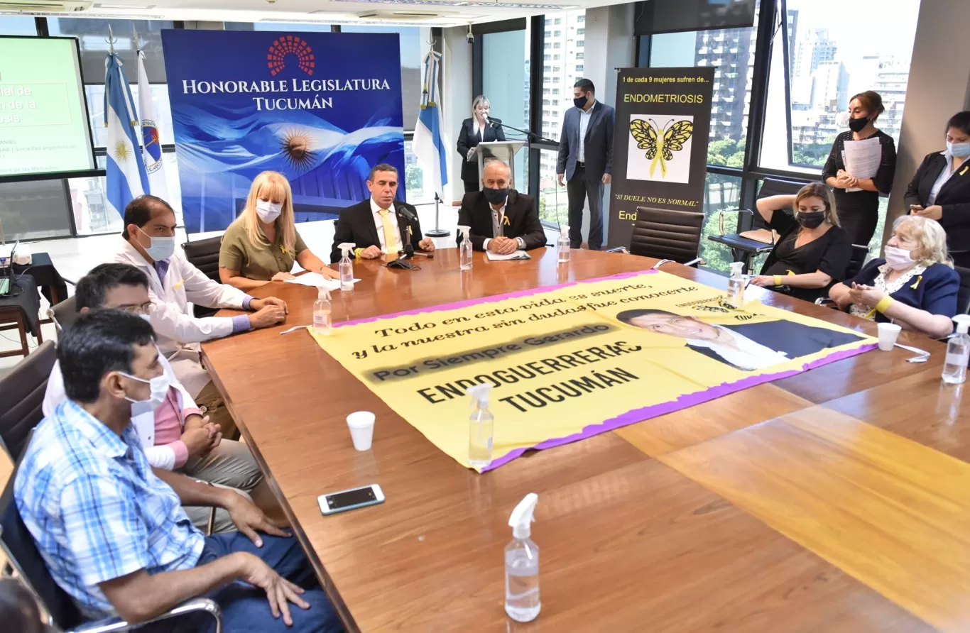 JORNADA POR LA SEMANA DE LA ENDOMETRIOSIS EN LA LEGISLATURA / Foto de Prensa HLT