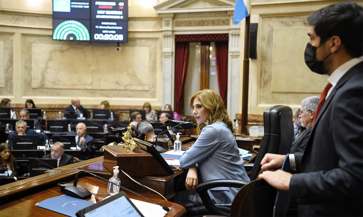 EN EL RECINTO. Cristina Fernández de Kirchner está en ejercicio de la Presidencia de la Nación, por lo que la santiagueña Claudia Ledesma Abdala coordinará el debate. Foto de Archivo / Prensa Senado de la Nación