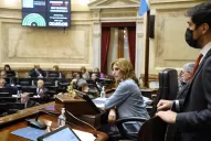 Los 13 votos en contra que obtuvo el acuerdo con el FMI fueron de senadores kirchneristas