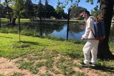 Fumigaciones en el municipio de la capital