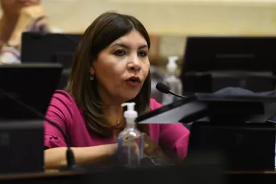 Pido perdón si ofendí a alguien con pronunciar mal una palabra, dijo la senadora Mendoza