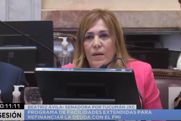 Desafío a los oficialistas: Ávila pidió apoyo al proyecto por los subsidios al transporte