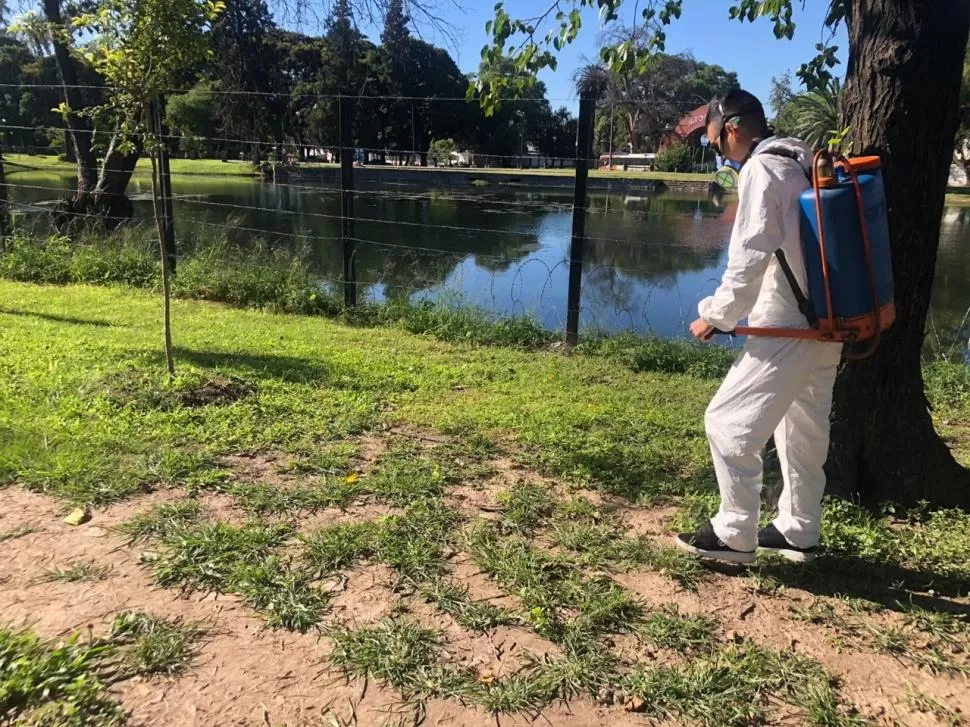 EN EL PARQUE 9 DE JULIO. El municipio fumiga con productos no tóxicos.  