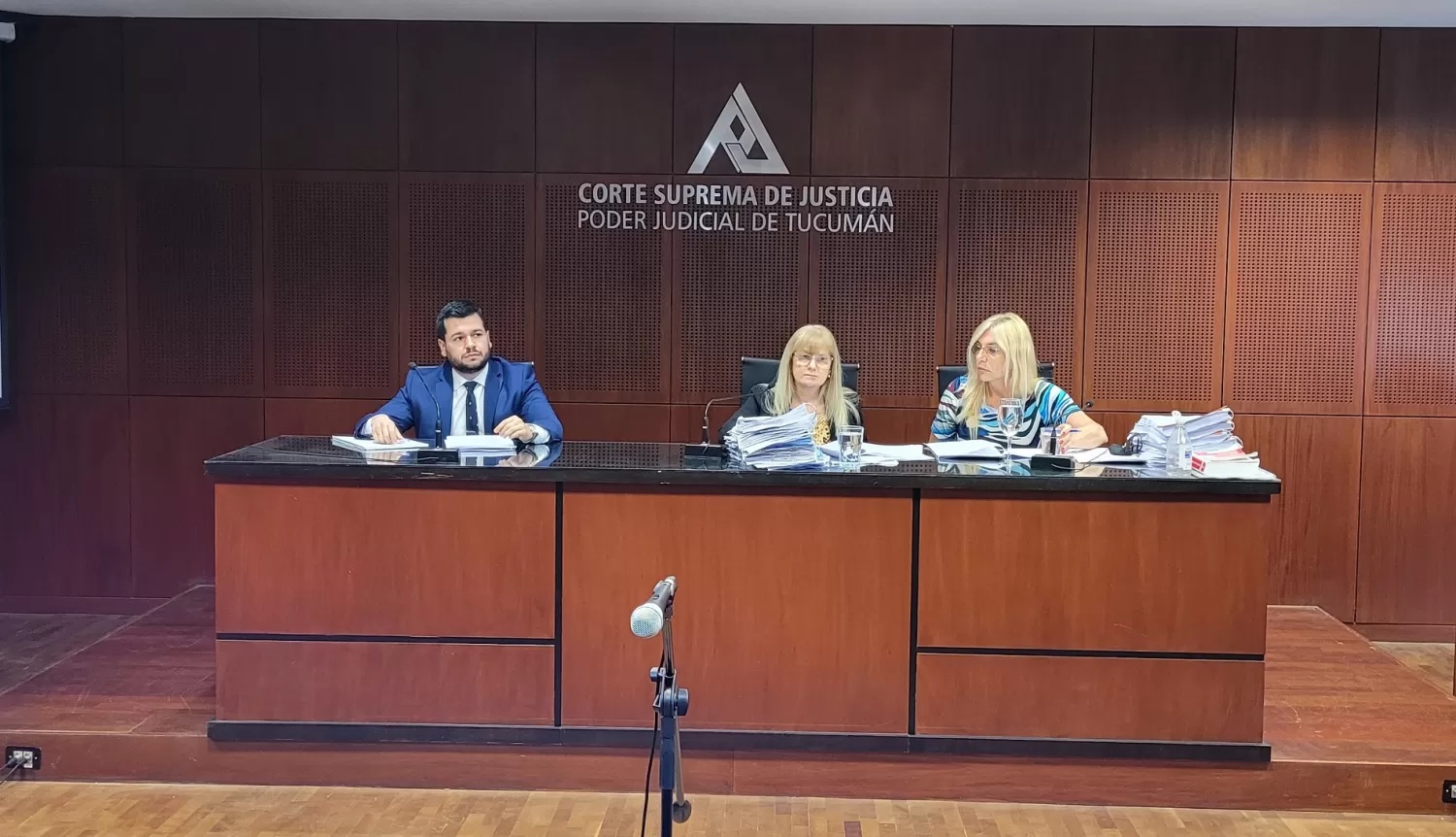 El tribunal que resolvió el fallo. 