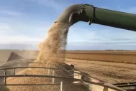 Suba de retenciones: dos gobernadores cuestionaron la medida del Gobierno nacional