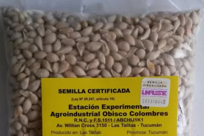 La Eeaoc convoca a interesados a adquirir semillas portainjertos