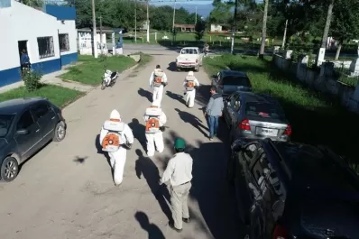 Barrieron García Fernández para buscar Diaphorina