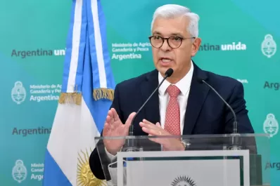 Domínguez dijo que no se tocarán las retenciones de maíz, trigo, soja y aceite de girasol