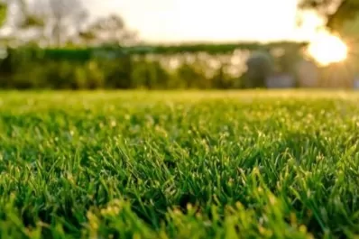 Consejos para mantener tu césped fuerte durante la época invernal