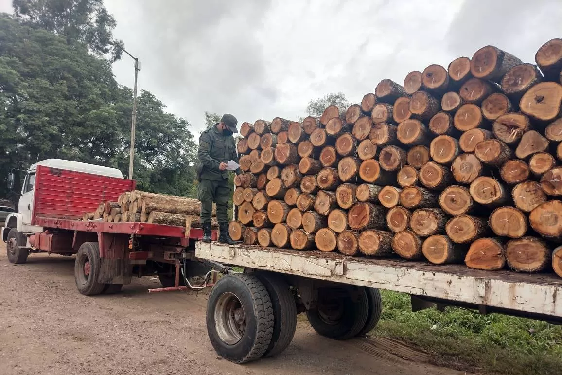 MADERA SECUESTRADA en Salta. 