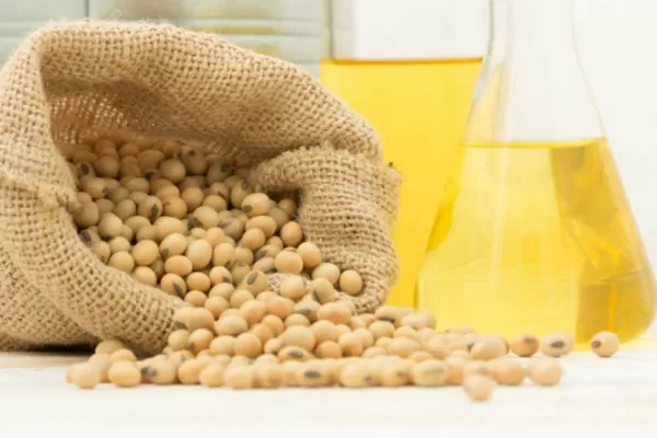 El Gobierno nacional reabrió las exportaciones de harina y de aceite de soja