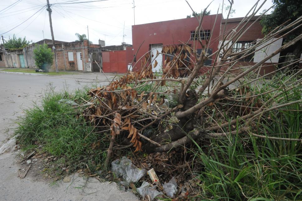 PREVENCIÓN CON RAMAS. Ramírez de Velasco al 2.700.