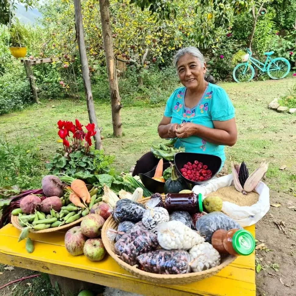 VÍNCULO CON LA TIERRA. Ángela Romano vive en los Valles Calchaquíes. 