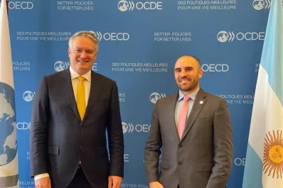 Martín Guzmán se reunió con el Secretario General de la OCDE