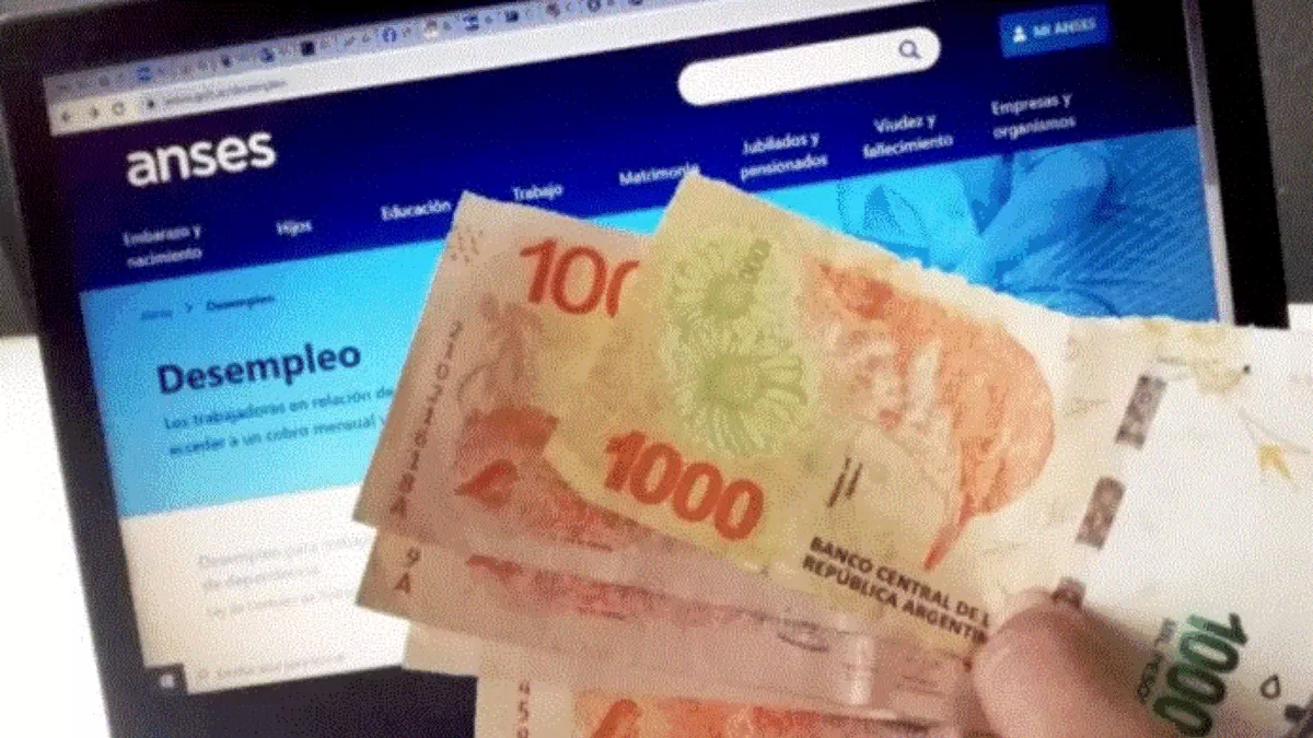 Anses ofrece préstamos a los pasivos.