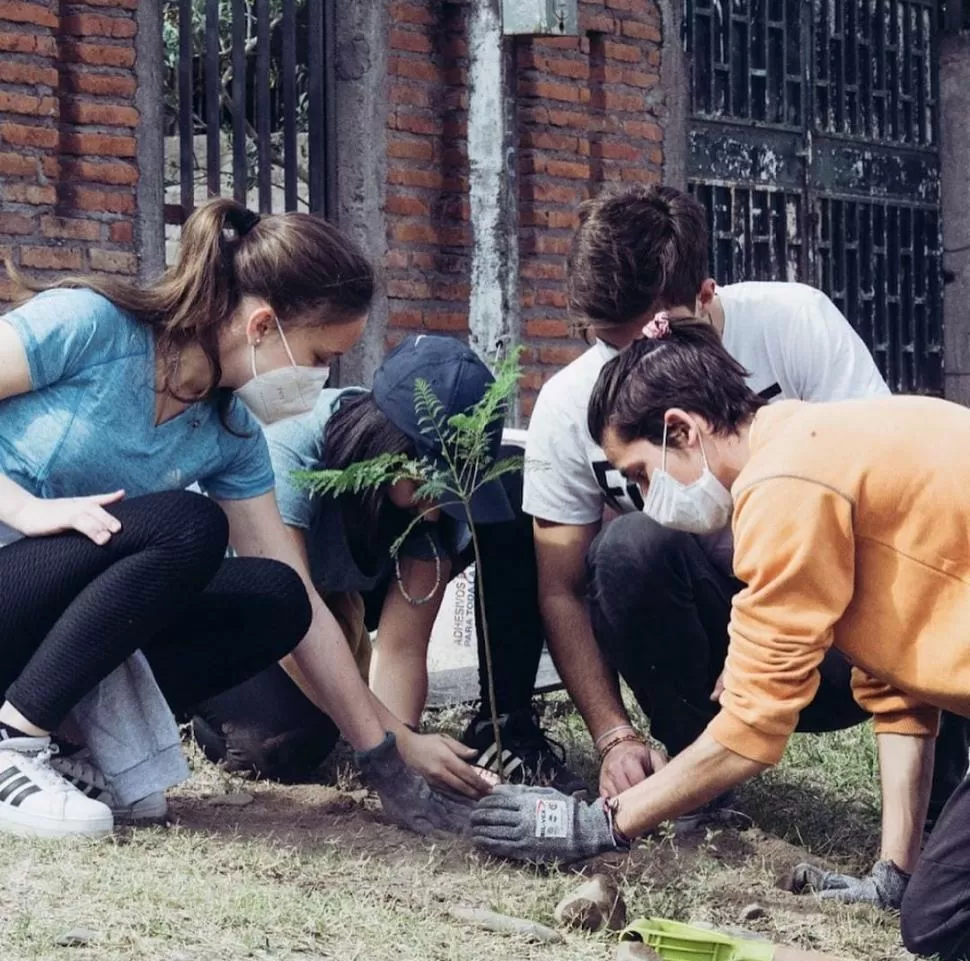 TRABAJO EN CONJUNTO. La última plantación forestal se realizó con la participación de los vecinos del Barrio Ampliación Alejandro Heredia.  