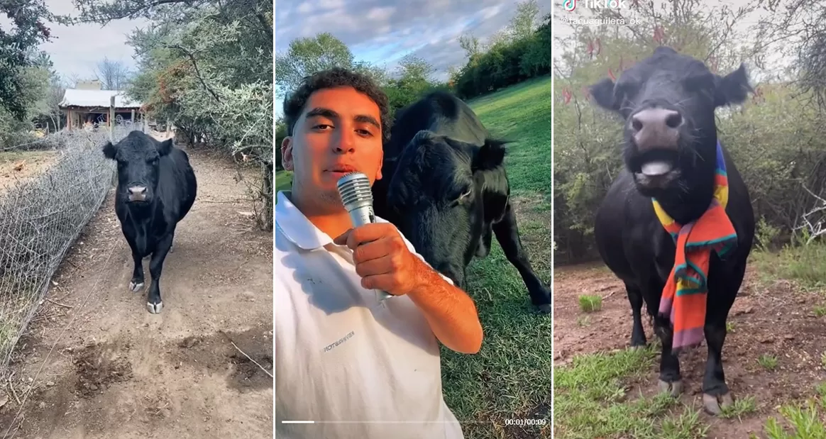 Facundo, con su perro vaca. Fotos de TikTok