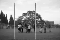 Rugby e inclusión social: hay programa para rato