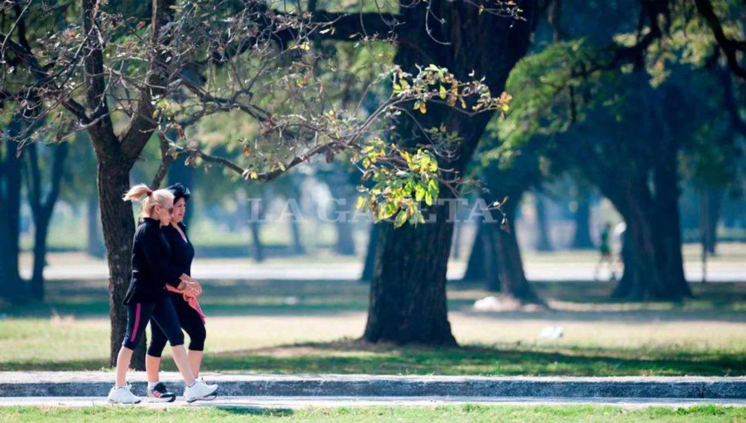 Un sábado ideal para hacer actividades al aire libre: cálido y soleado