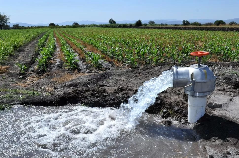 DATO. Diversos especialistas en la materia estiman que alrededor del 97% del agua dulce del mundo está en acuíferos o formaciones geológicas.   