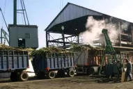 “Hay que hacer el esfuerzo para que no le falte el gas a los ingenios