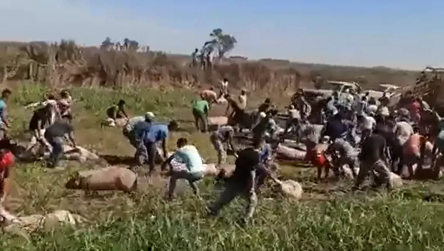 Foto gentileza La Nación.