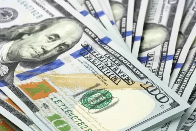 ¿Qué implicaría que la Argentina se dolarice? Esto dicen los especialistas