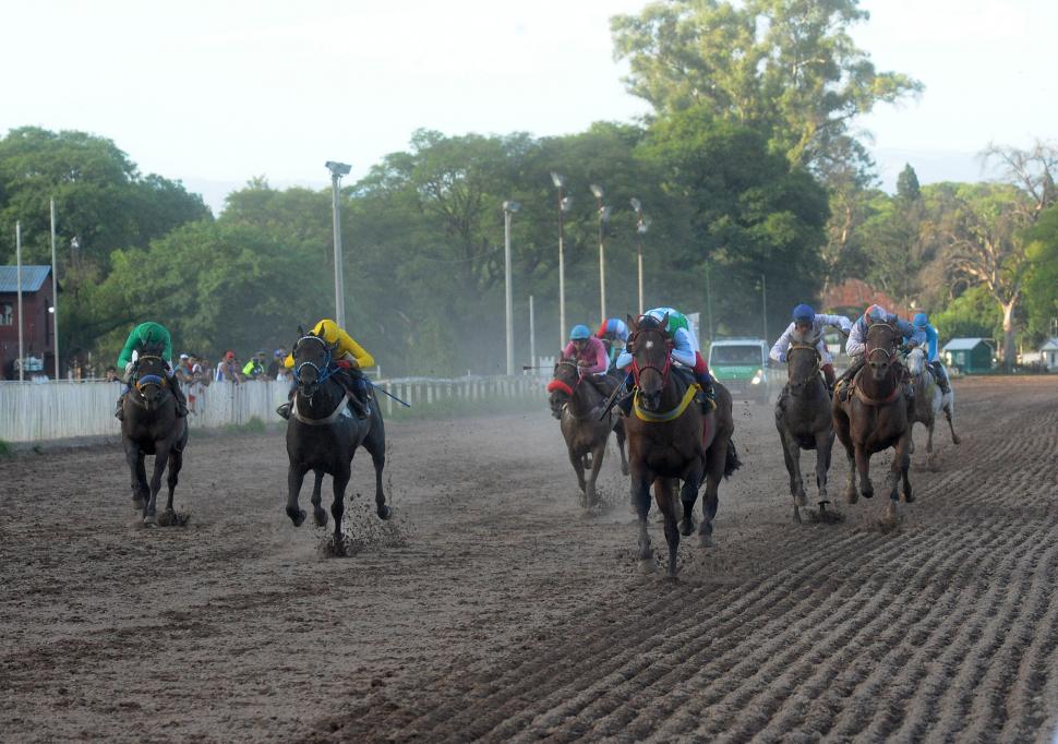 Sólo se correrán carreras cuadreras en el Hipódromo