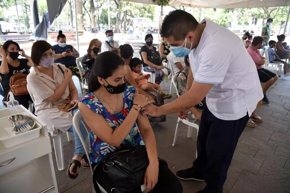 VALIOSA. El efecto de la 3a dosis se estudió en un año en 100 individuos. LA GACETA / FOTO DE INÉS QUINTEROS ORIO