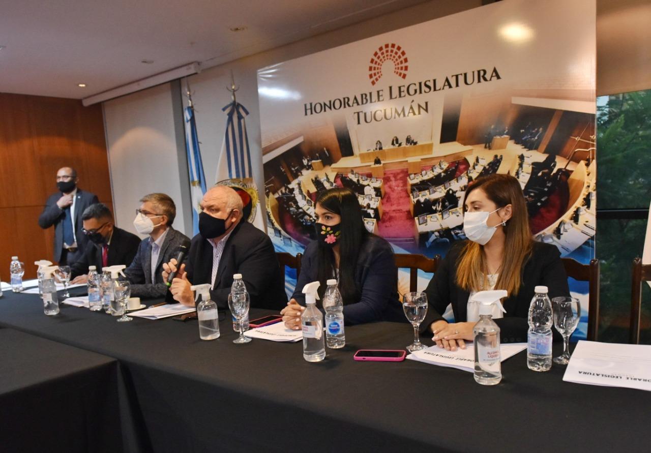 EN COMISIÓN. Los integrantes de Derechos Humanos se reunieron para escuchar a los y las postulantes. Foto: Prensa HLT