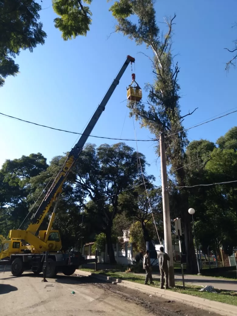 EN ACCIÓN. La imponente grúa tiene un brazo de 25 metros. 