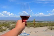 En Tucumán apuestan a que el Valle Calchaquí sea un polo vitivinícola