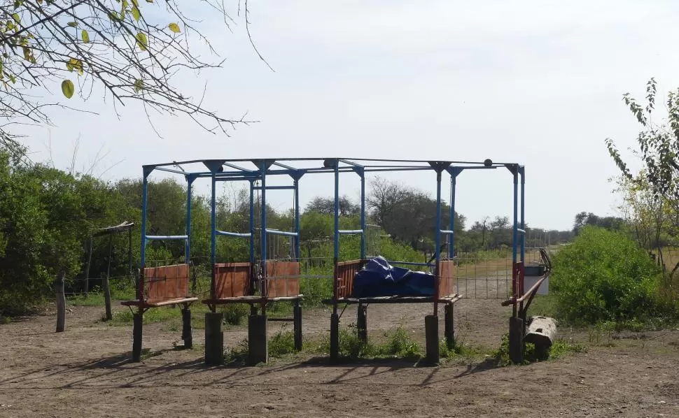 SIN USO. Las canchas en las que se corrían las carreras en el interior y las gateras quedaron abandonadas. LA GACETA / FOTO DE Osvaldo Ripoll