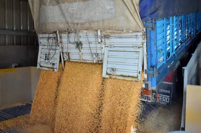Desde hoy, un paro afectará el transporte de granos