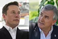 Elon Musk se quejó por el precio del litio y recibió una curiosa respuesta de Gerardo Morales  