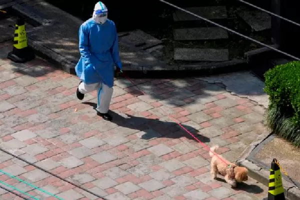 Shanghái: anuncian testeos masivos para evaluar el levantamiento del confinamiento