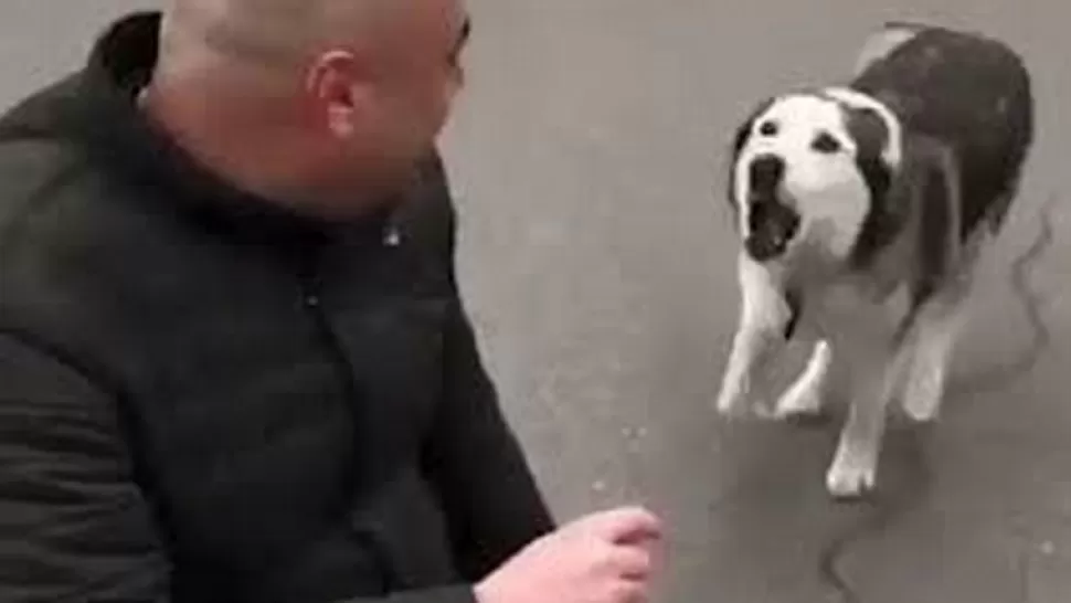 REENCUENTRO CON SU DUEÑO. En plena guerra, la mascota y el dueño se reencuentran despues de varios dias.