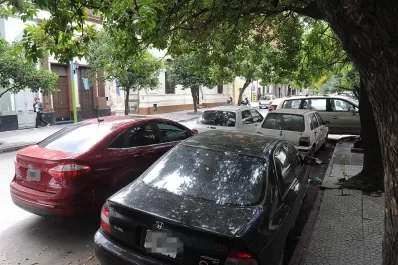 El tránsito nos define como una sociedad boba