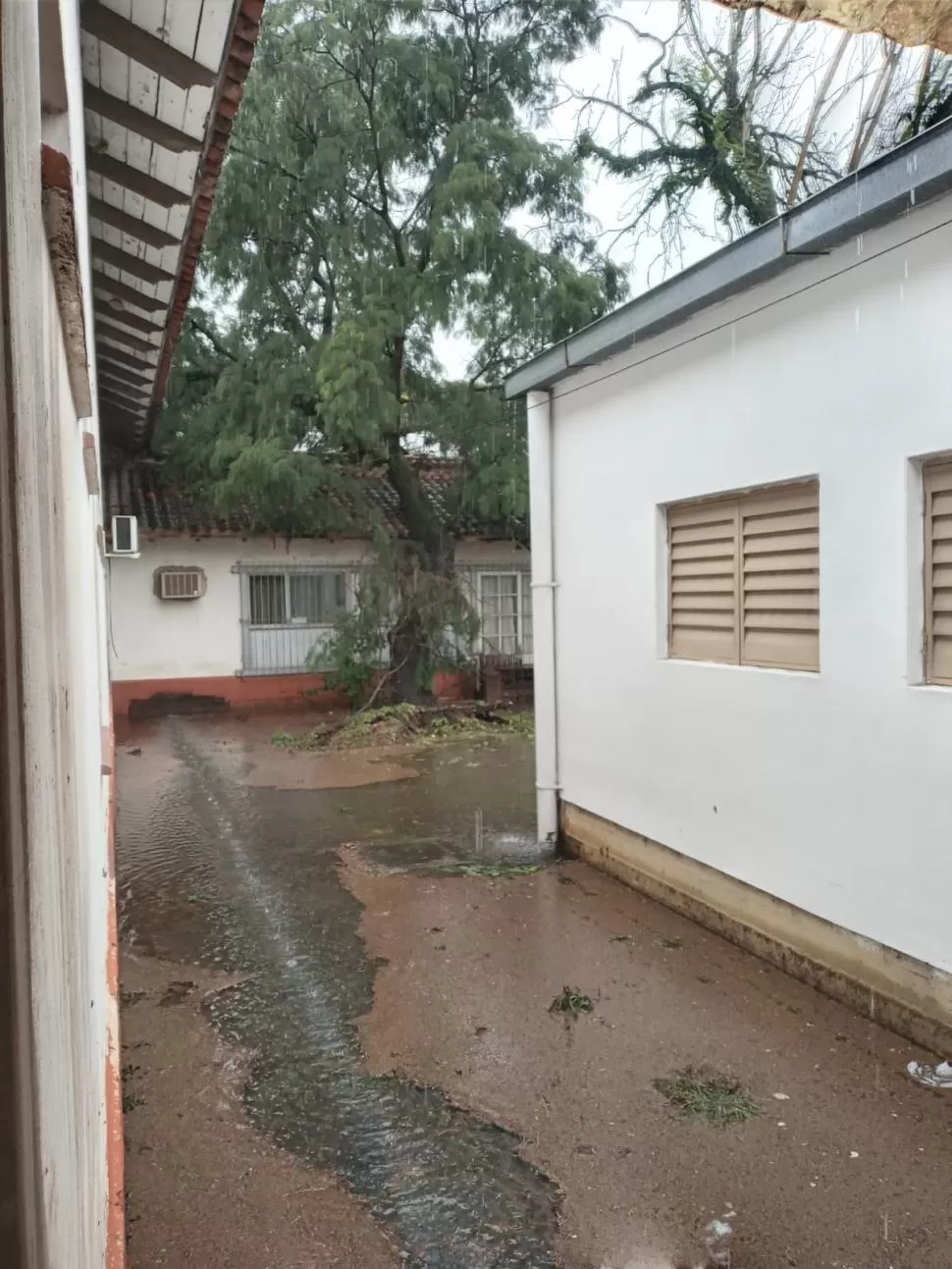 EN EL CENTRO PREBISCH. El árbol caído sobre el techo y el agua en un anfiteatro, rastros de la tormenta.  