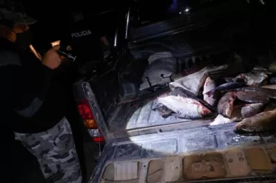 Secuestraron pescados que eran transportados en el baúl de una camioneta
