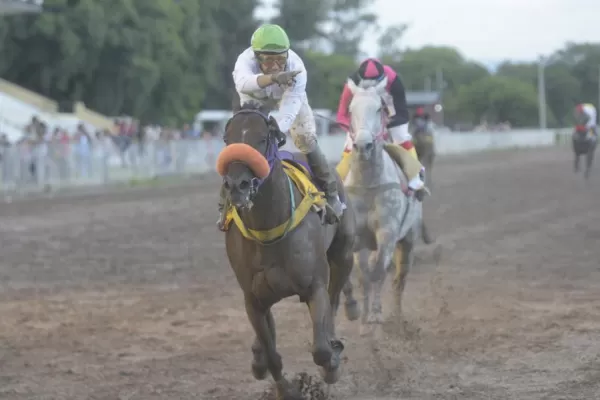Turf en Tucumán: Sarfo, el caballo que volvió para ser profeta en su tierra